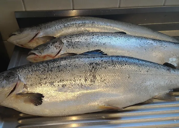 מלון San Francisco