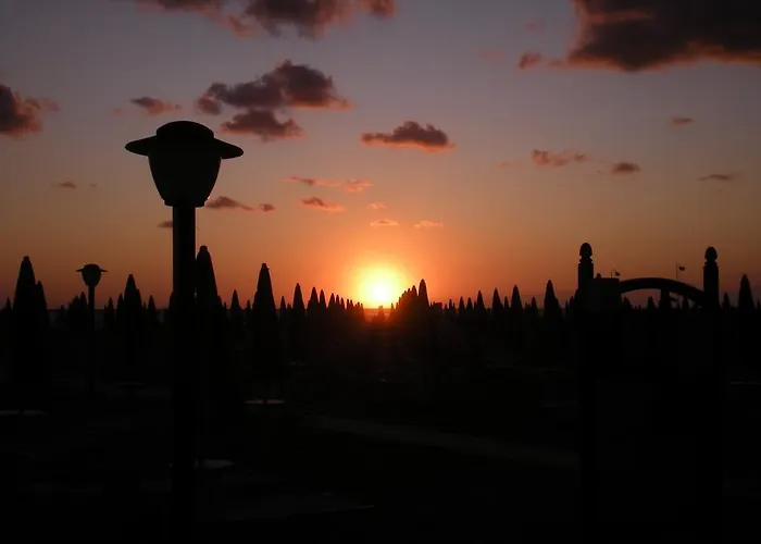 San Francisco רימיני